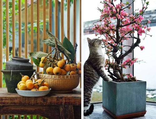 Mọi thứ đều đơn giản nhưng khi nhìn vào ai cũng thấy ấn tượng. Mọi thứ đều đơn giản nhưng khi nhìn vào ai cũng thấy ấn tượng.