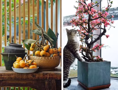 Mọi thứ đều đơn giản nhưng khi nhìn vào ai cũng thấy ấn tượng. Mọi thứ đều đơn giản nhưng khi nhìn vào ai cũng thấy ấn tượng.