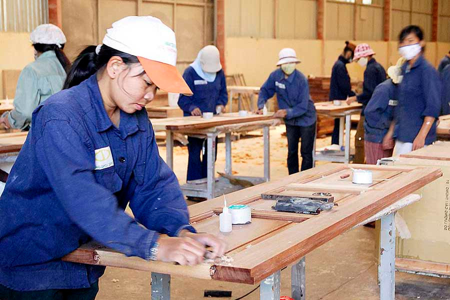  Công nhân làm việc tại Nhà máy Chế biến gỗ Đức Long Gia Lai (TP. Pleiku). Ảnh: Đ.T