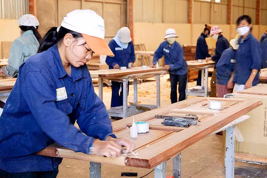  Công nhân làm việc tại Nhà máy Chế biến gỗ Đức Long Gia Lai (TP. Pleiku). Ảnh: Đ.T