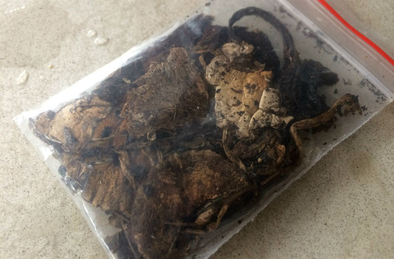 Theo lời giới thiệu của Tuấn, mỗi tríp chơi hết sẽ có tác dụng 8 tiếng "làm tiên" Theo lời giới thiệu của Tuấn, mỗi tríp chơi hết sẽ có tác dụng 8 tiếng