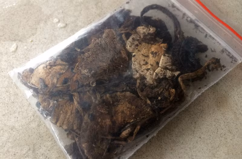 Theo lời giới thiệu của Tuấn, mỗi tríp chơi hết sẽ có tác dụng 8 tiếng 