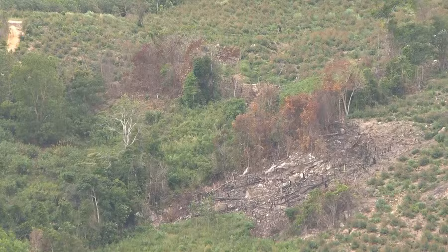 Đồng thời quan tâm hơn đến chính sách bảo vệ rừng và đề nghị thành lập Ban Quản lý Rừng phòng hộ Ia Tul là một trong những kiến nghị của cử tri tỉnh Gia Lai