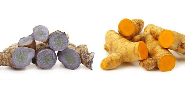 Nghệ đen và nghệ vàng công dụng hỗ trợ chữa bệnh. Ảnh: TBN Nghệ đen và nghệ vàng công dụng hỗ trợ chữa bệnh. Ảnh: TBN