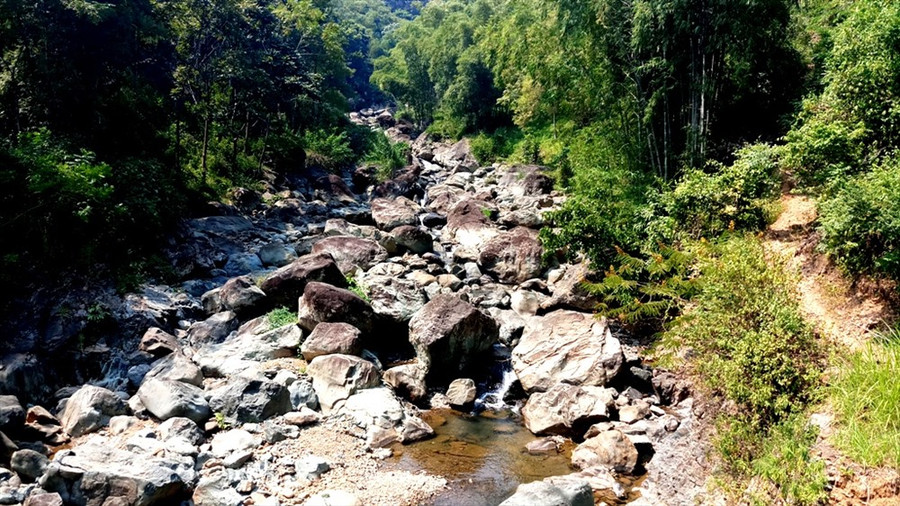 Đắm mình vào những con suối mát trong.