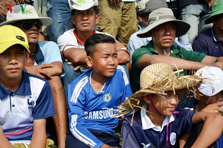 Lễ hội đua bò Bảy Núi hàng năm thu hút hàng ngàn người đến xem và cổ vũ cho các cặp bò đua.
