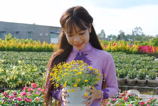  Hoa kiểng là một trong những thế mạnh của làng hoa Sa Đec