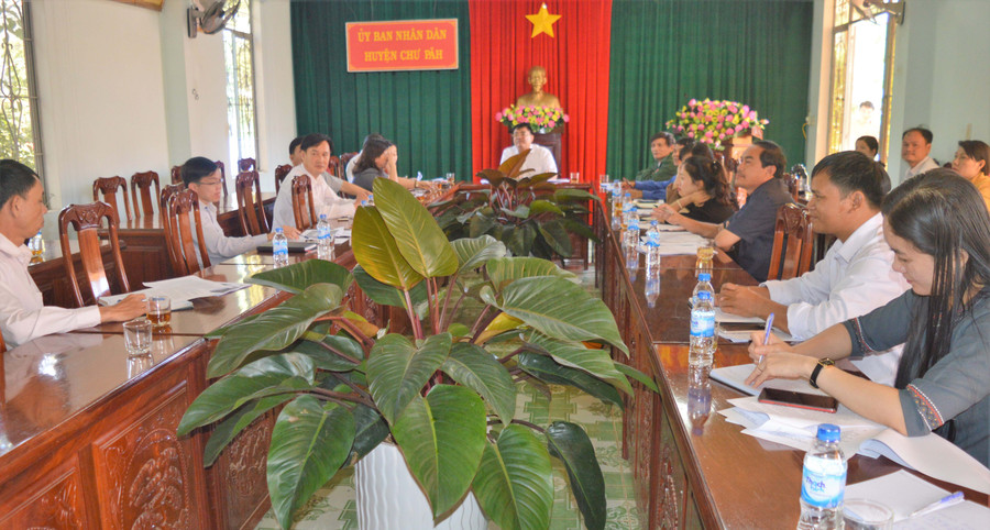 Quang cảnh cuộc họp Ban tổ chức Lễ hội hoa Dã quỳ-Núi lửa Chư Đăng Ya. Ảnh: Đinh Yến