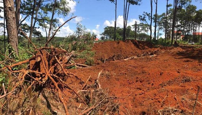 Máy ủi được đưa đến san lấp lấy mặt bằng