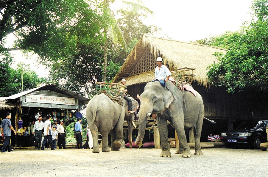 Voi chở khách du lịch ở Trung tâm Du lịch Buôn Đôn.