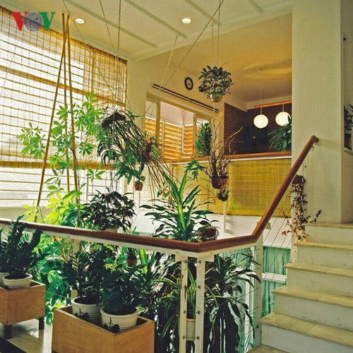 Khoảng thông tầng với vườn cảnh là nơi kết nối giữa không gian sinh hoạt chung và phòng ăn. Ánh sáng được lấy từ bên ngoài và cũng được lọc qua mành tre. Giải pháp mở rộng không gian và tầm nhìn mà vẫn có được sự riêng biệt và kín đáo cần thiết của hai không gian chức năng khác nhau.