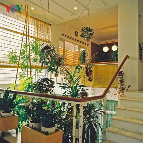 Khoảng thông tầng với vườn cảnh là nơi kết nối giữa không gian sinh hoạt chung và phòng ăn. Ánh sáng được lấy từ bên ngoài và cũng được lọc qua mành tre. Giải pháp mở rộng không gian và tầm nhìn mà vẫn có được sự riêng biệt và kín đáo cần thiết của hai không gian chức năng khác nhau.