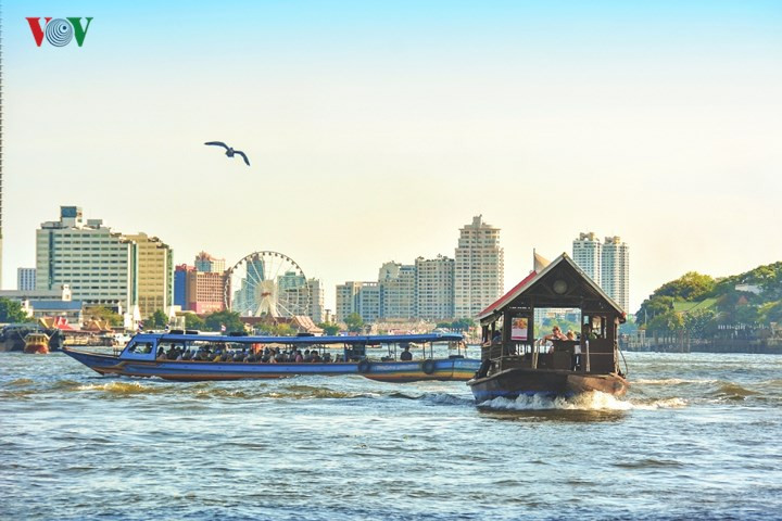 Không chỉ phục vụ du lịch, sông Chao Phraya thực sự một huyết mạch giao thông quan trọng của thành phố. Người Bangkok sử dụng mạng lưới phà và thuyền trên sông thường xuyên không kém gì đường bộ.