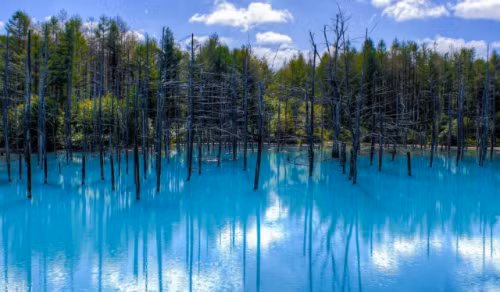  Hồ nước vào những ngày hè. Ảnh: Raredelights.