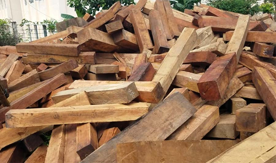 Gỗ tang vật bị tạm giữ tại hạt Kiêm lâm huyện Mang Yang. Ảnh: Trinh Trinh Gỗ tang vật bị tạm giữ tại hạt Kiêm lâm huyện Mang Yang. Ảnh: Trinh Trinh