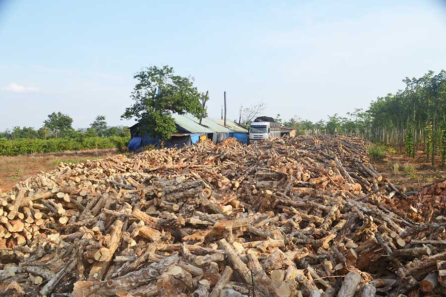 Lò đốt than của Huỳnh Văn Năm ở Ia Băng, Đak Đoa (Gia Lai). Ảnh: Hoàng Cư