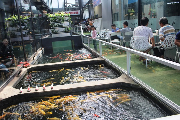 Bể cá coi được anh thiết kế lắp đặt ngay trong quán cà phê của mình. Bể cá coi được anh thiết kế lắp đặt ngay trong quán cà phê của mình.