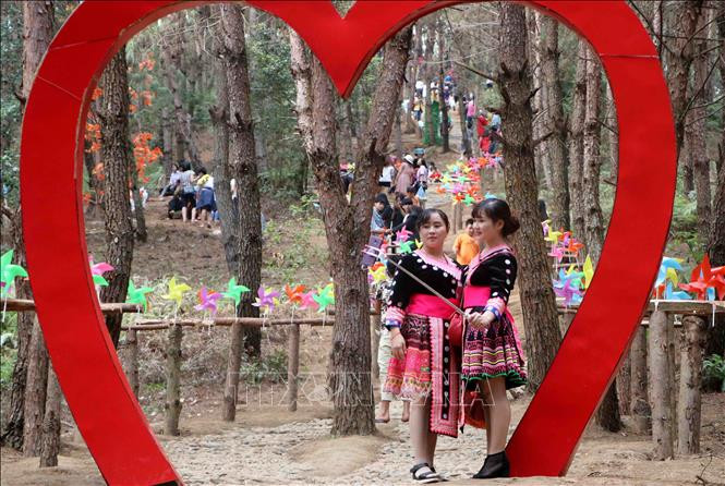 Khu du lịch sinh thái đồi thông được các bạn trẻ yêu thích và chọn làm nơi chụp ảnh lưu niệm.