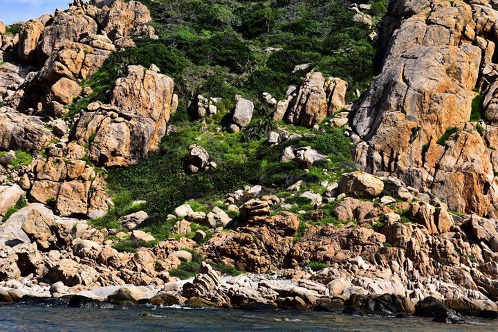  Hệ thực vật hiếm hoi trên những hòn đảo nhỏ quanh vịnh.