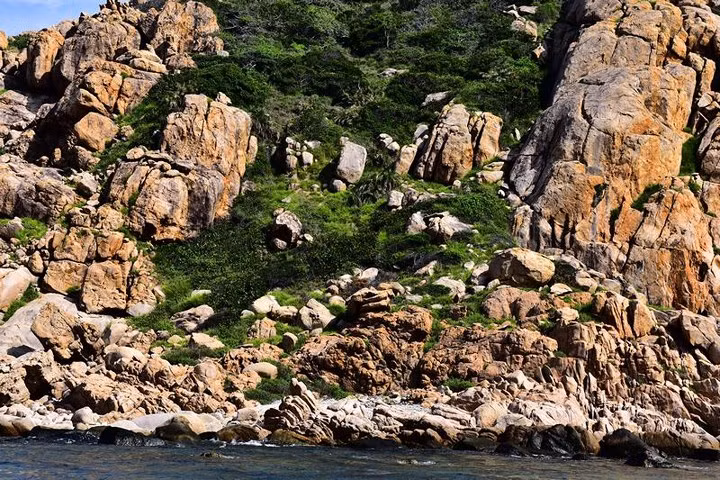  Hệ thực vật hiếm hoi trên những hòn đảo nhỏ quanh vịnh.