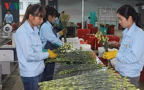  Khu vực doanh nghiệp tư nhân đã có sự tăng trưởng nhưng vẫn nhỏ so với nền kinh tế thị trường.