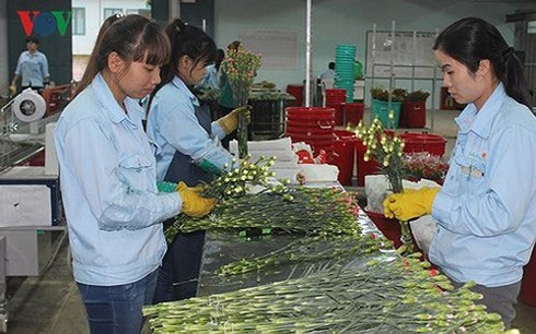  Khu vực doanh nghiệp tư nhân đã có sự tăng trưởng nhưng vẫn nhỏ so với nền kinh tế thị trường.