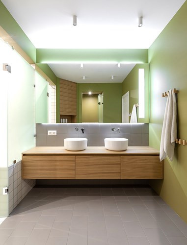  Trong khi phòng tắm là bản hòa tấu của những giai điệu màu xanh lá cây.