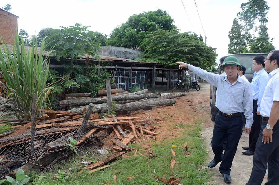 Lò sấy thuốc lá sử dụng củi rừng bị phát hiện, xử lý. Ảnh: Đức Phương