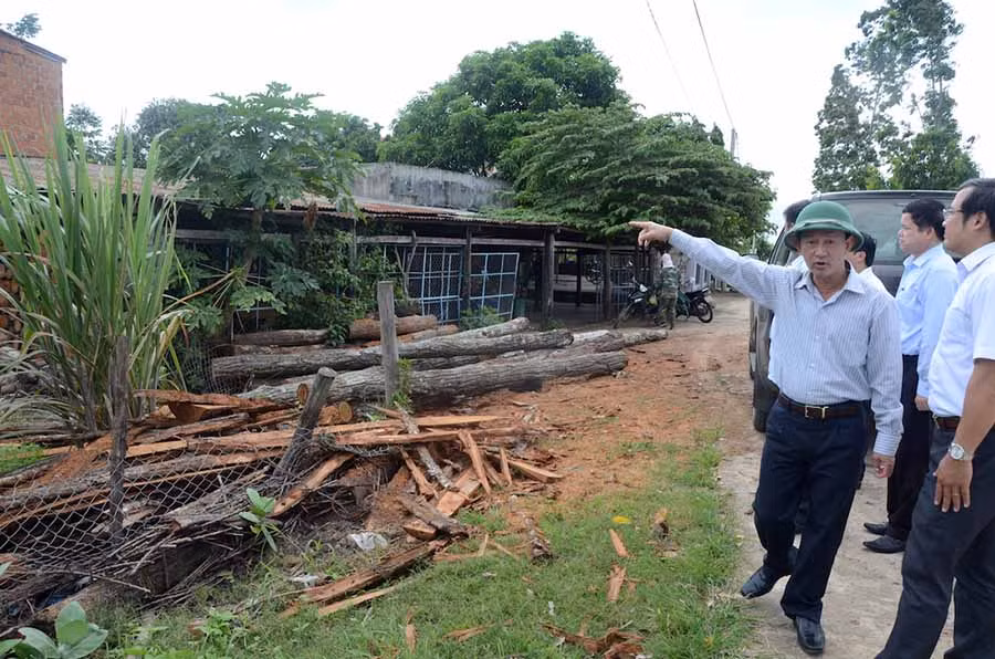 Lò sấy thuốc lá sử dụng củi rừng bị phát hiện, xử lý. Ảnh: Đức Phương