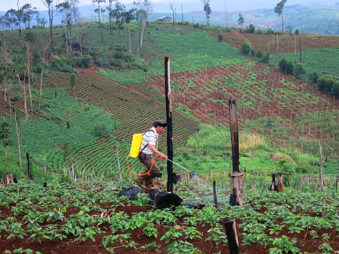 Việc chuyển đổi đất có nguồn gốc nông lâm trường không dễ.