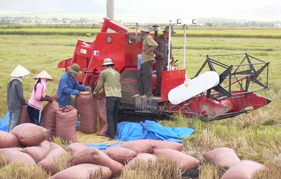 Đội ngũ trí thức trẻ sẽ góp phần giúp nông dân thực hiện các dự án cánh đồng lớn. Ảnh: Thanh Nhật Đội ngũ trí thức trẻ sẽ góp phần giúp nông dân thực hiện các dự án cánh đồng lớn. Ảnh: Thanh Nhật