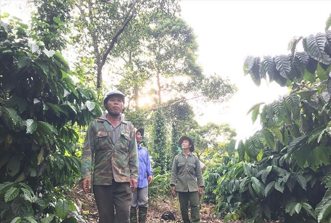 Khu đất có mỏ than bùn đang bị tranh chấp giữa doanh nghiệp và người dân