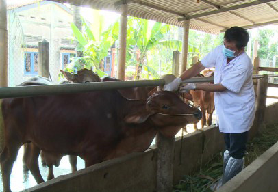 Ảnh nguồn internet