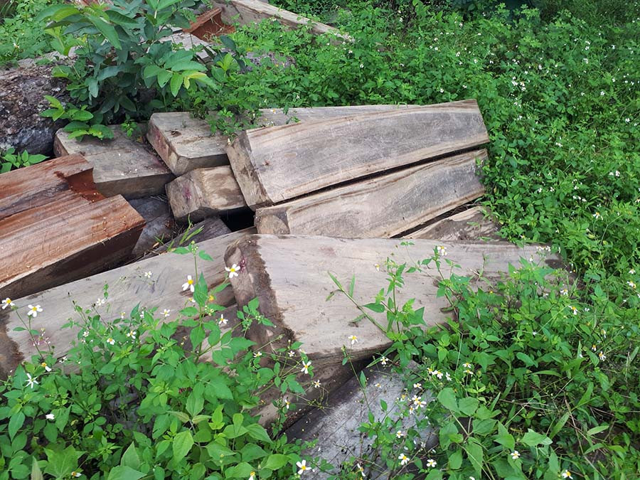 Tang vật vi phạm được cơ quan chức năng phát hiện, thu giữ.Ảnh: Chí Hào