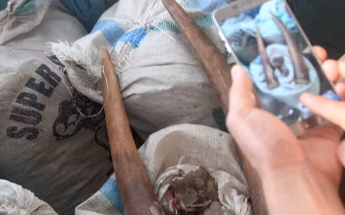  Hiện trường vụ việc