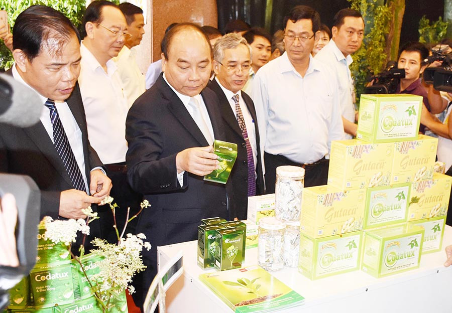 Thủ tướng Nguyễn Xuân Phúc tham quan các gian hàng trưng bày sâm Ngọc Linh. Ảnh: Minh Triều