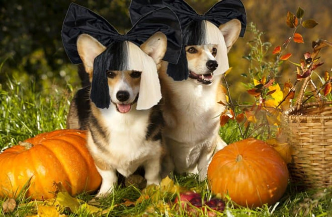 Từ một lễ hội truyền thống, bắt nguồn tại các quốc gia phương Tây, Halloween ngày càng trở nên phổ biến ở nhiều nước trên thế giới. Trong những ngày cuối tháng 10, mạng xã hội ngập tràn hình ảnh hóa trang độc đáo chào đón Halloween. Ảnh: @EpicCosplay. Từ một lễ hội truyền thống, bắt nguồn tại các quốc gia phương Tây, Halloween ngày càng trở nên phổ biến ở nhiều nước trên thế giới. Trong những ngày cuối tháng 10, mạng xã hội ngập tràn hình ảnh hóa trang độc đáo chào đón Halloween. Ảnh: @EpicCosplay.