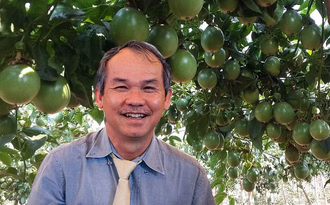 Bầu Đức vẫn đang trong quá trình tái cơ cấu HAGL