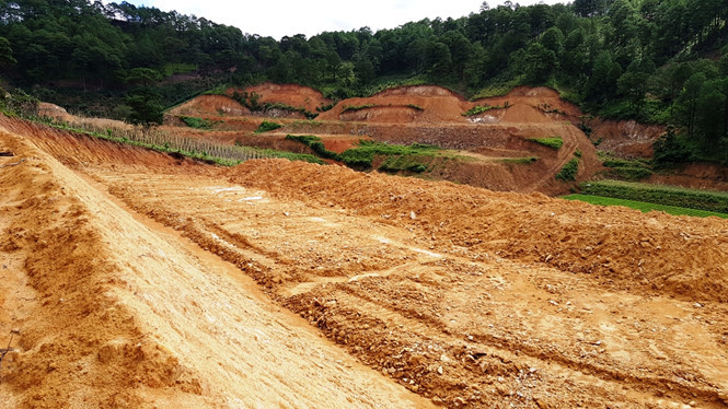 Hiện trường đất lâm nghiệp ở tiểu khu 267C bị san ủi, lấn chiếm trái phép GIA BÌNH