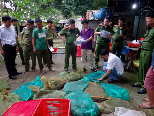 Một cơ sở ở huyện Lộc Ninh, tỉnh Bình Phước xin giấy phép gây nuôi một số loài động vật để làm “bình phong” mua bán động vật hoang dã Ảnh: LÊ PHONG