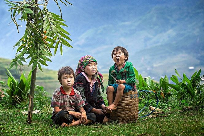 Hồ Đình Thịnh Hồ Đình Thịnh