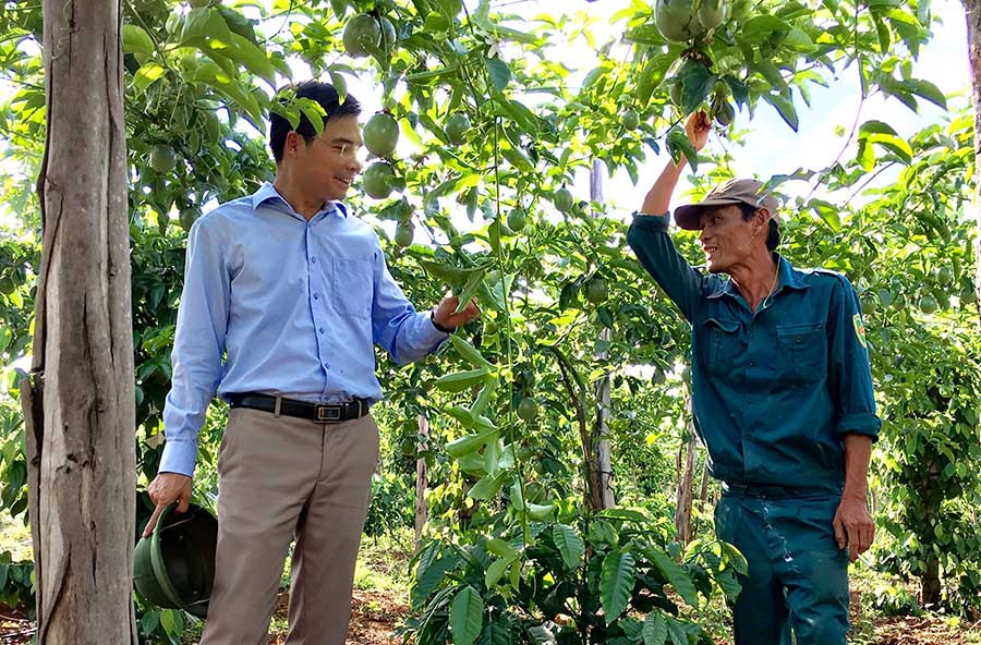 Công ty Doveco đầu tư Nhà máy chế biến các loại hoa quả tại Gia Lai. Ảnh: Hà Duy