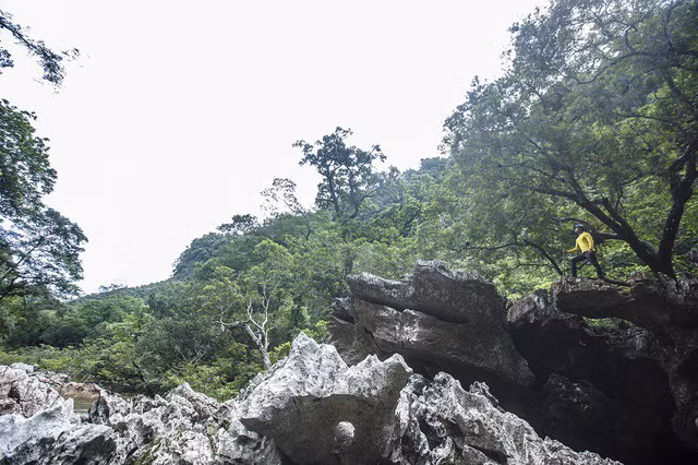 Hang Vòm, giếng Voọc đang trong quá trình khai thác thử nghiệm.