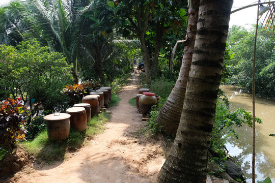 Đường quê rợp bóng ở Cồn Sơn