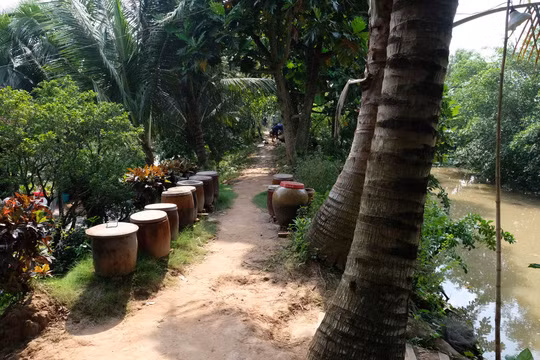 Đường quê rợp bóng ở Cồn Sơn