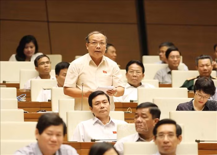  Đại biểu Quốc hội tỉnh Gia Lai Đinh Duy Vượt chất vấn. Ảnh: Phương Hoa/TTXVN