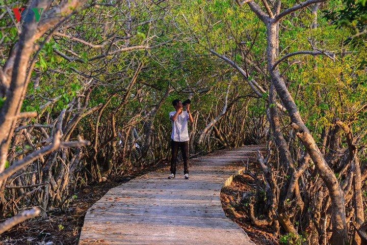  Đến với rú Chá mùa thu để cảm nhận và ghi lại những khung hình của một mùa thu vàng trên đất Cố đô.