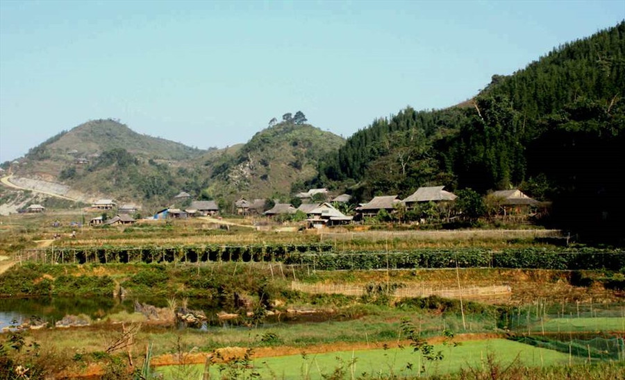  Trước một Cao Sơn hùng vĩ và đượm tình.