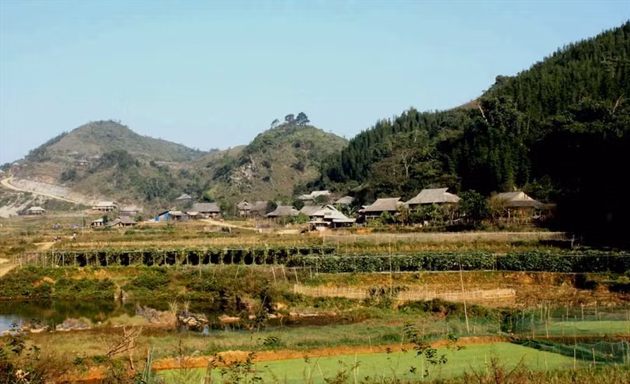  Trước một Cao Sơn hùng vĩ và đượm tình.