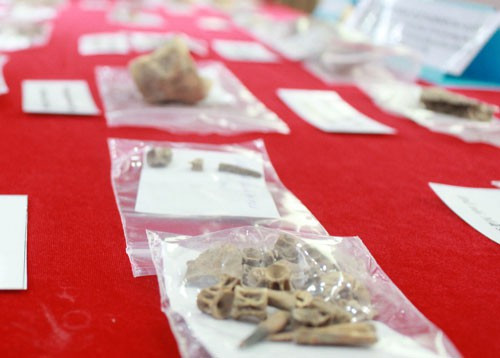  Dấu vết di cốt người tiền sử được các nhà khoa học khai quật ở hang động núi lửa Krông Nô Ảnh: Như Lai